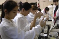 Летняя школа по медицине