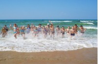 Кубанская Нива