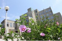 Лазуревый берег