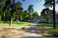 Лесная сказка