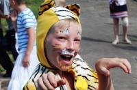 Солнечная поляна