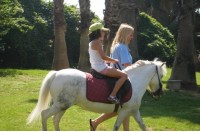 Academia Fiesta.Веселая подкова