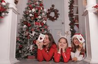 Скандинавская школа