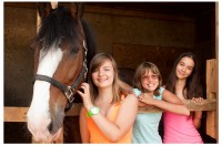 Hobbycamp Осенний лагерь VSedlo.ru