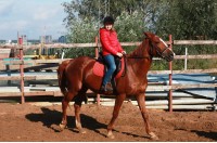 Hobbycamp Весенний конный лагерь VSedlo.ru