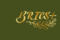 Международная школа БРИКС+